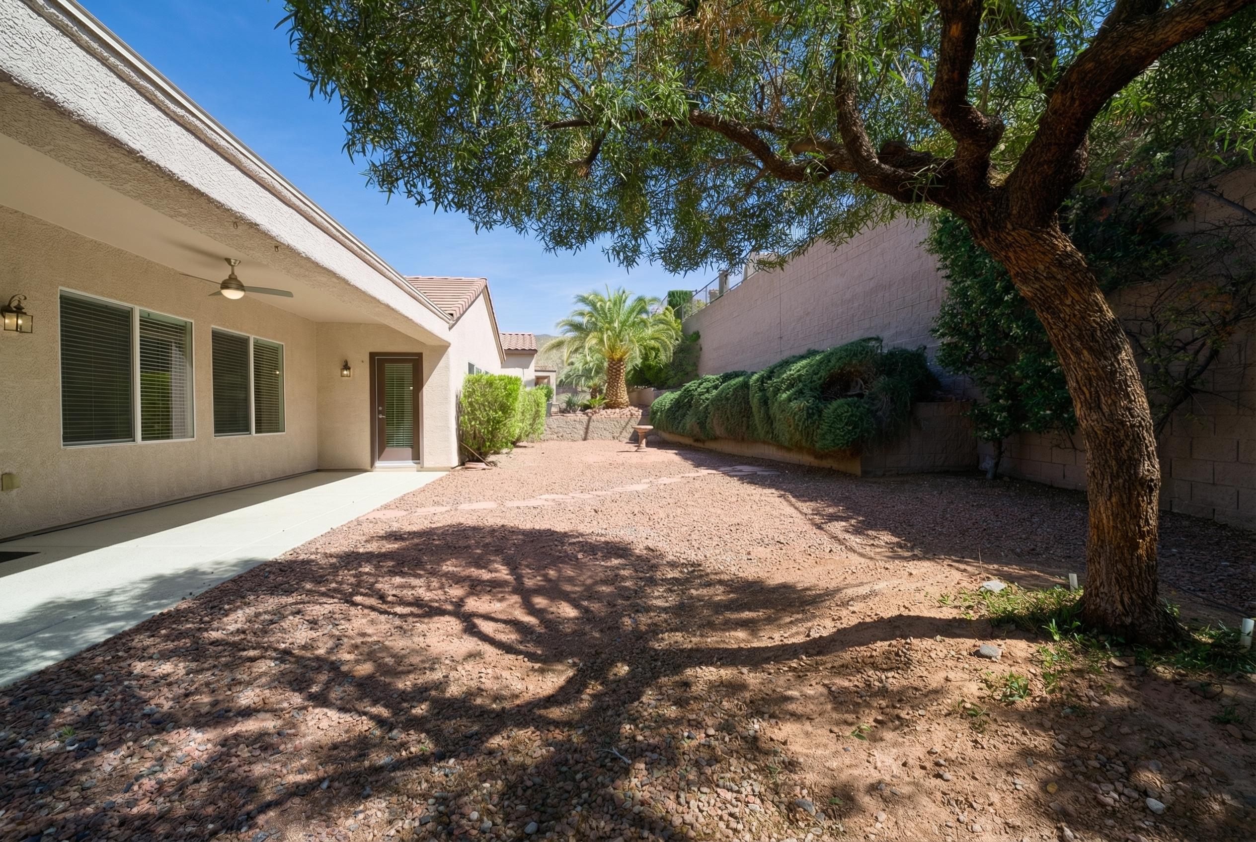 Backyard with shade tree